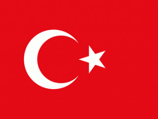 Кто подожжет Турцию?