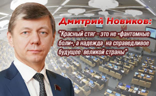 Дмитрий Новиков: "Красный стяг – это не «фантомные боли», а надежда на справедливое будущее великой страны"