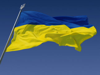 Украина – всё идёт по плану
